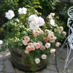 河口湖オルゴールの森 河口湖オルゴールの森<p>