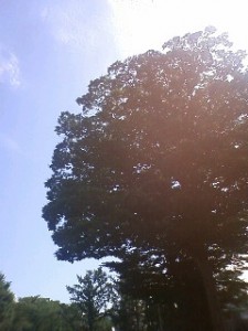 090914_100736 090914_100736