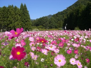 猪苗代ハーブ園
