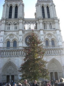 ノートルダムとツリー