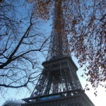 枯葉とエッフェル塔
