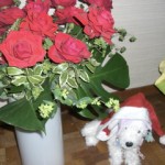 サンタペルル♪