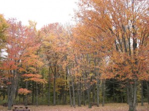 モントリオールに向かう途中の…