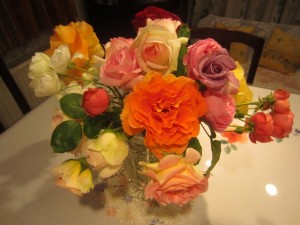 また戴いちゃいました(*^^*)